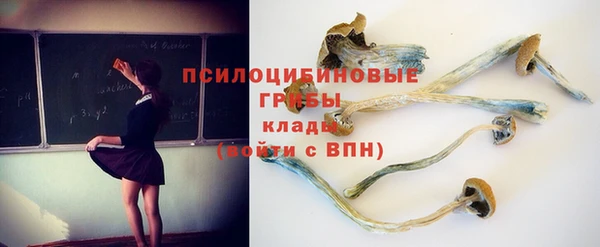 прущий лед Белоозёрский