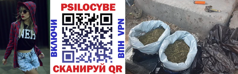где купить наркоту  Черепаново  Псилоцибиновые грибы MAGIC MUSHROOMS 